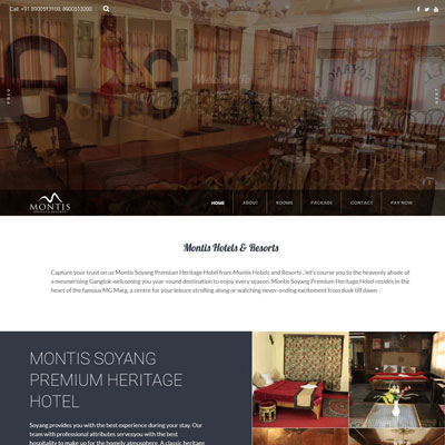 Hotel Website Designing - Montis hotel